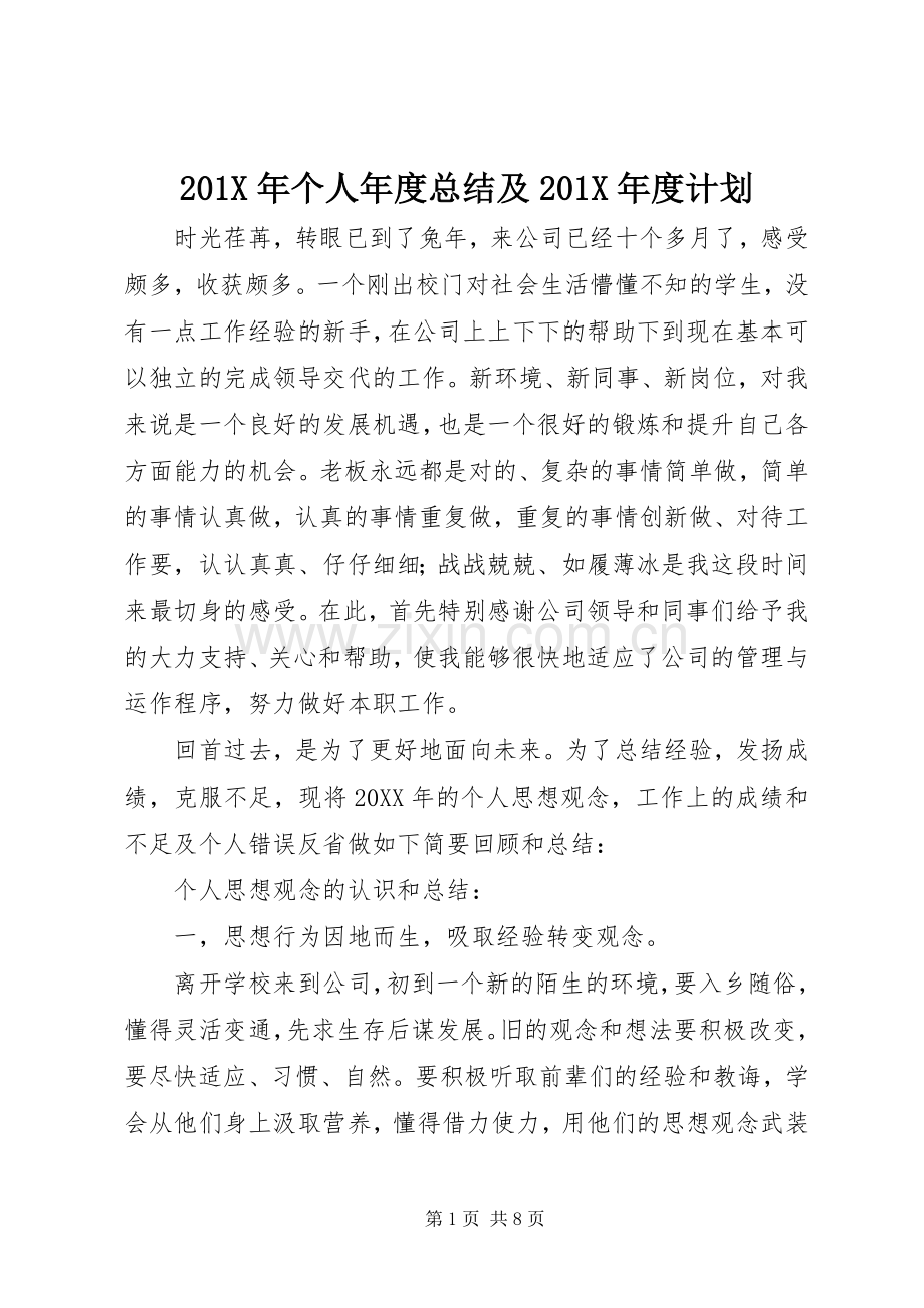201X年个人年度总结及201X年度计划.docx_第1页