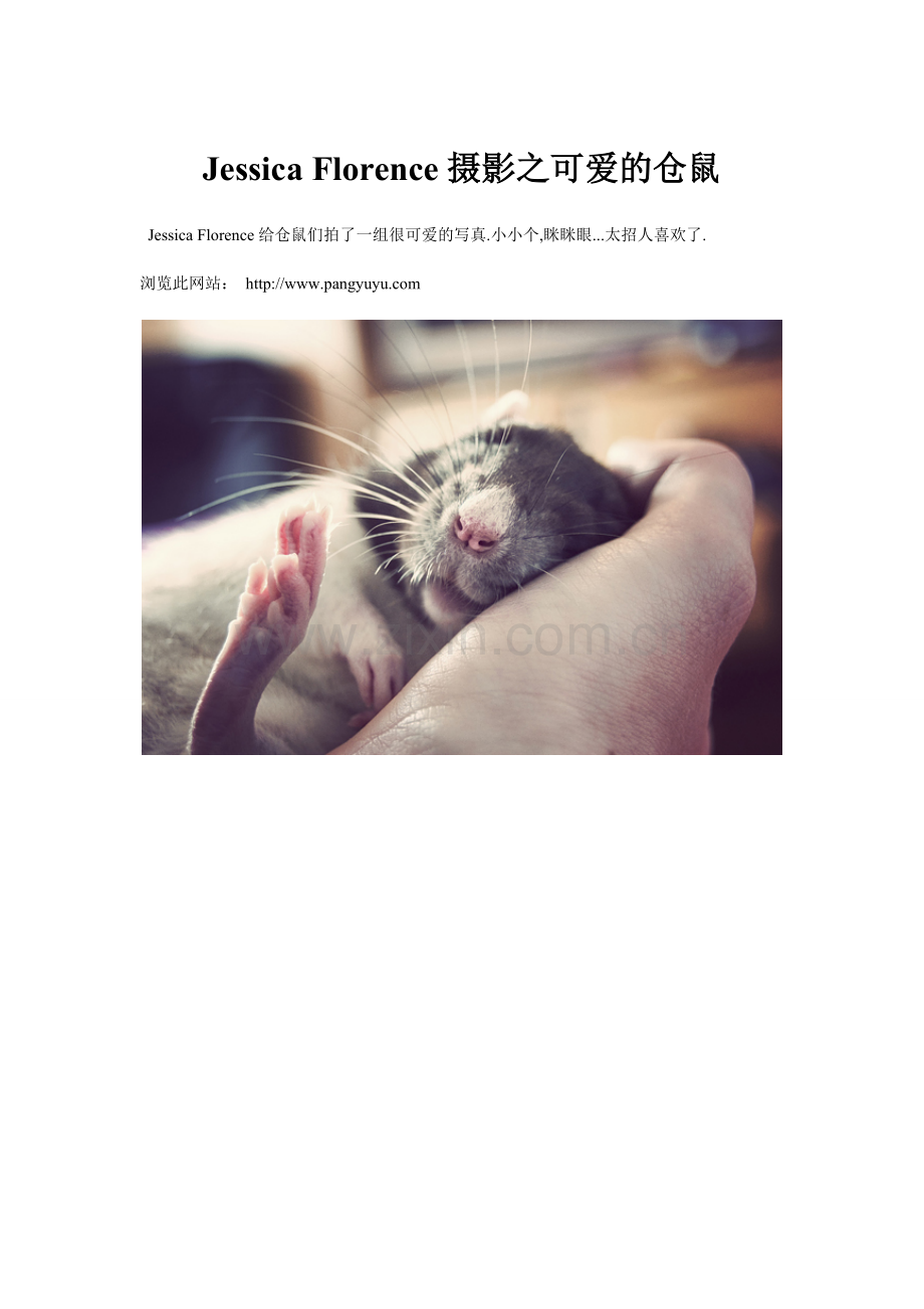JessicaFlorence摄影之可爱的仓鼠创新时代网供稿摄影欣赏.doc_第1页
