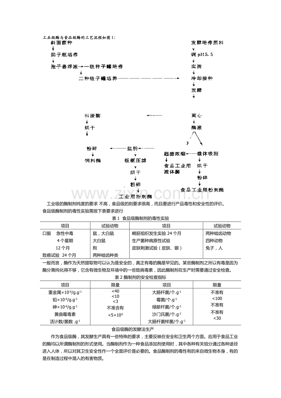 食品级酶及工业级酶制备工艺及质量差异.doc_第1页