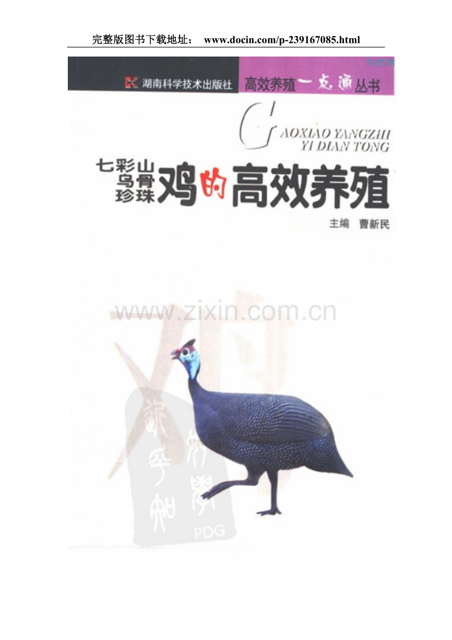 七彩山鸡、乌骨鸡、珍珠鸡的高效养殖.doc_第1页