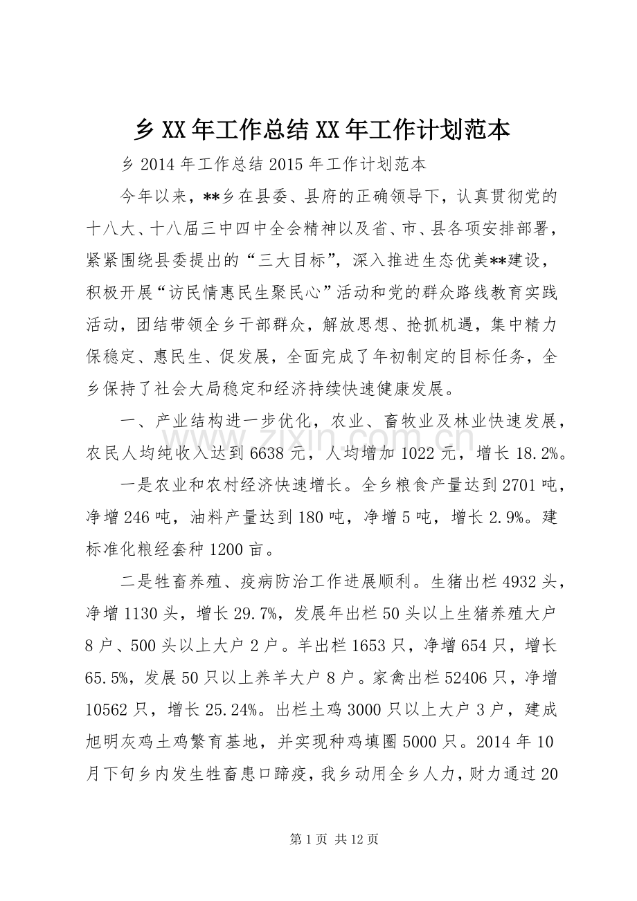 乡XX年工作总结XX年工作计划范本.docx_第1页