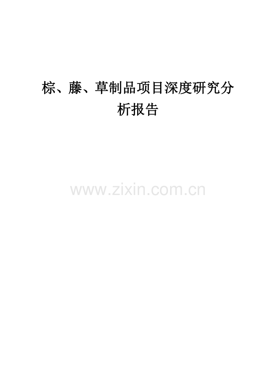 棕、藤、草制品项目深度研究分析报告.docx_第1页