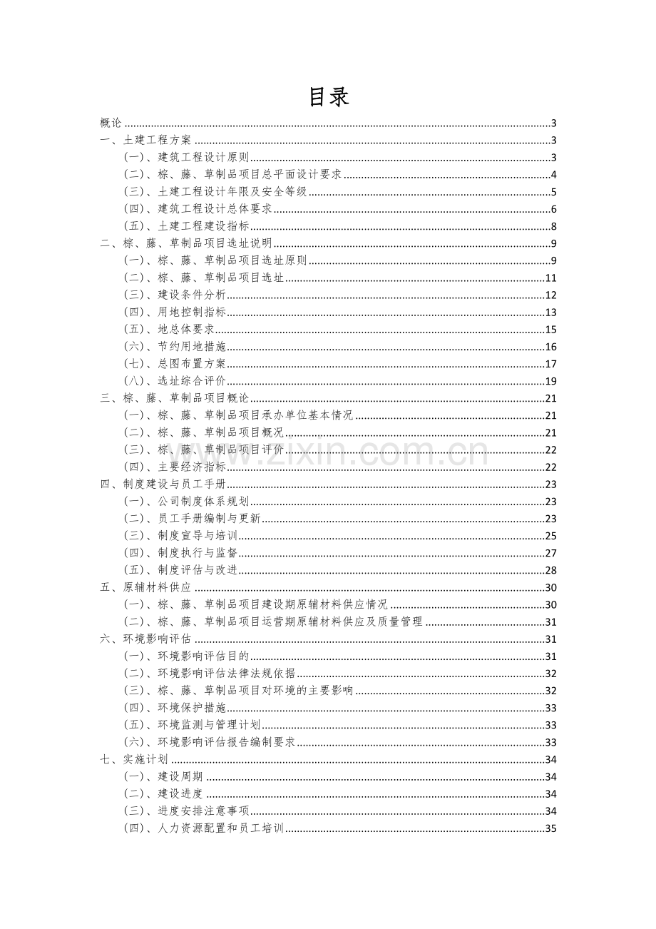 棕、藤、草制品项目深度研究分析报告.docx_第2页