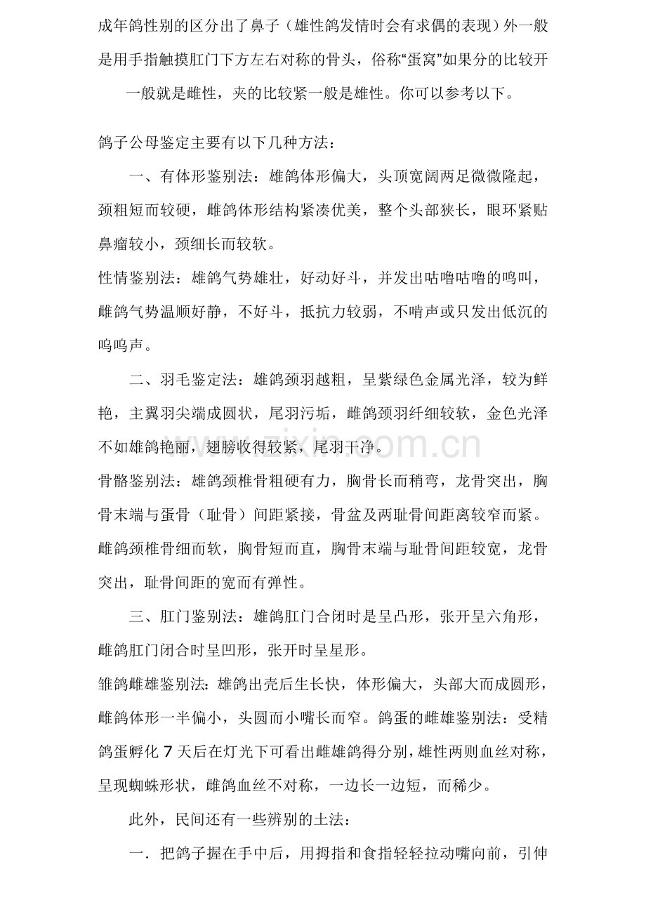 鸽子公母识别方法及常见病防治.doc_第1页