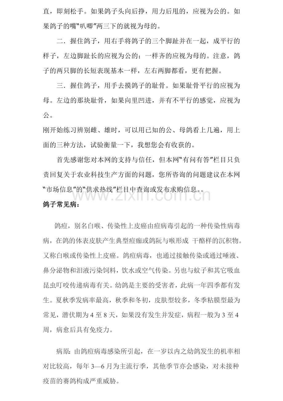 鸽子公母识别方法及常见病防治.doc_第2页