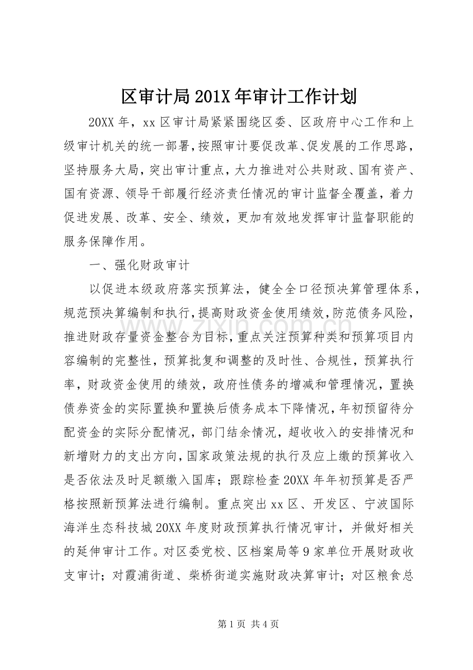 区审计局201X年审计工作计划.docx_第1页