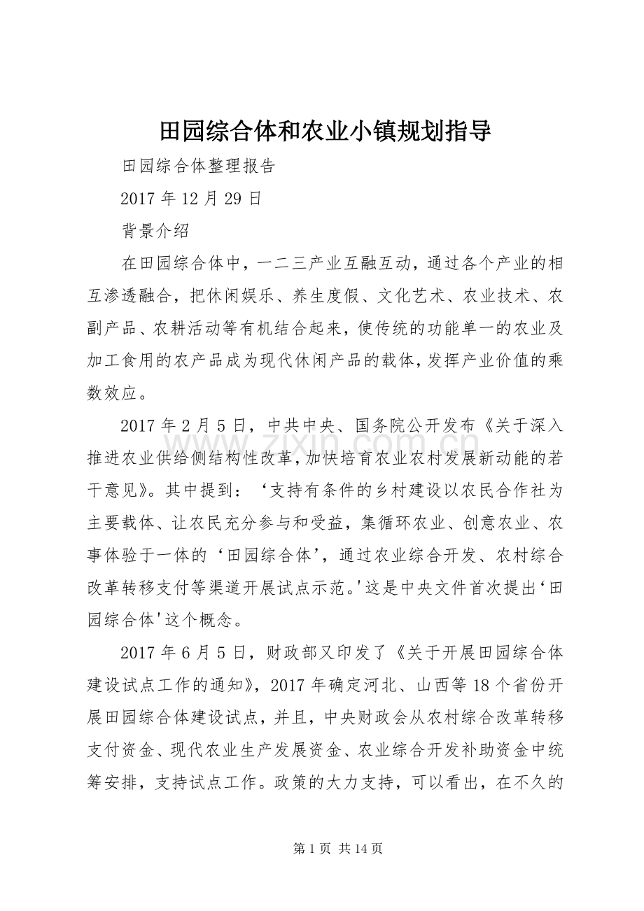 田园综合体和农业小镇规划指导 .docx_第1页