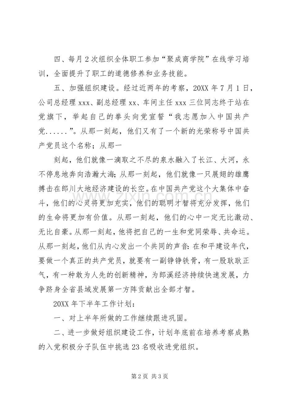 党支部工作总结及计划.docx_第2页