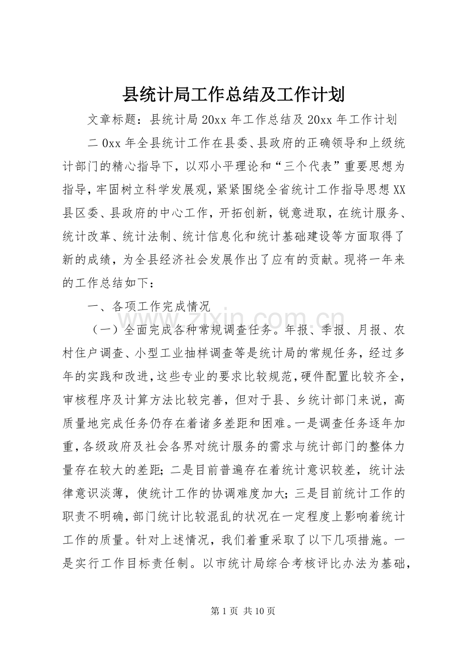 县统计局工作总结及工作计划.docx_第1页