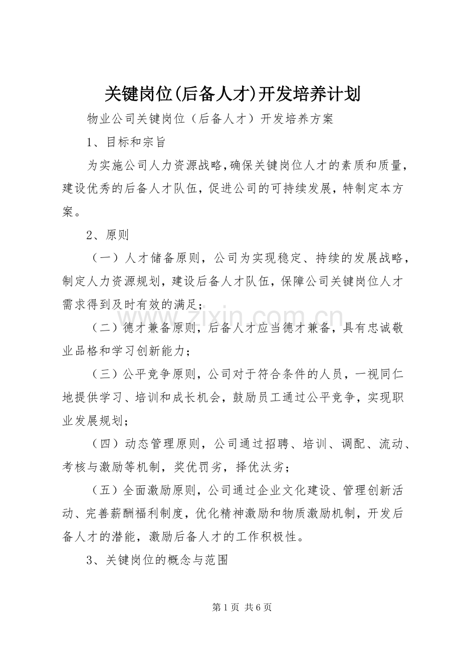 关键岗位(后备人才)开发培养计划.docx_第1页
