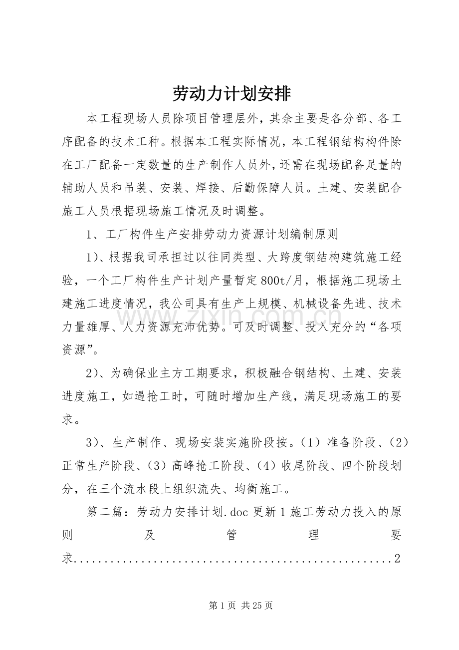 劳动力计划安排.docx_第1页
