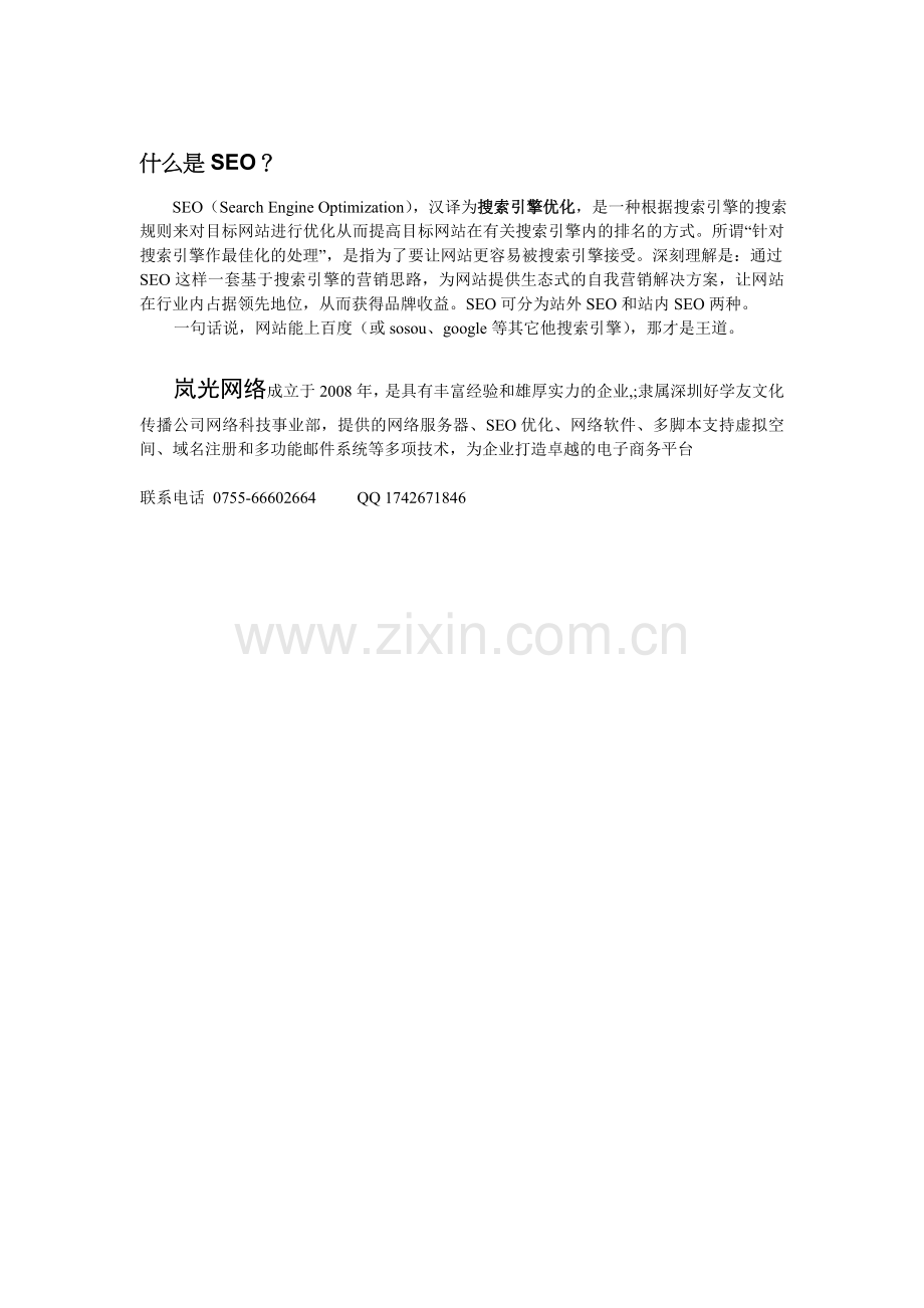 什么是SEO.doc_第1页