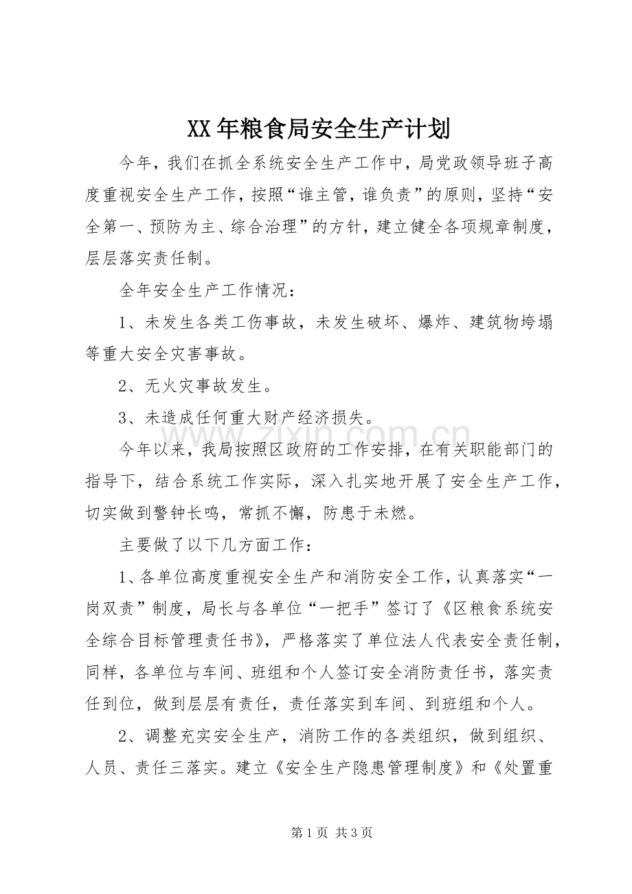 XX年粮食局安全生产计划_1.docx_第1页