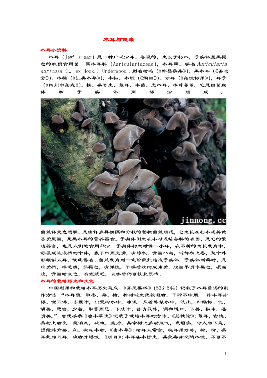 食用菌与健康--木耳.doc_第1页