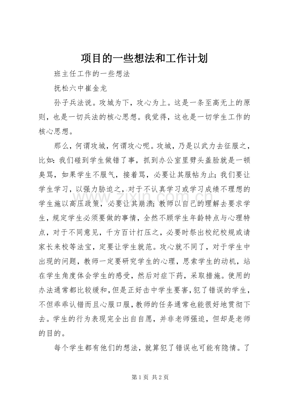 项目的一些想法和工作计划.docx_第1页