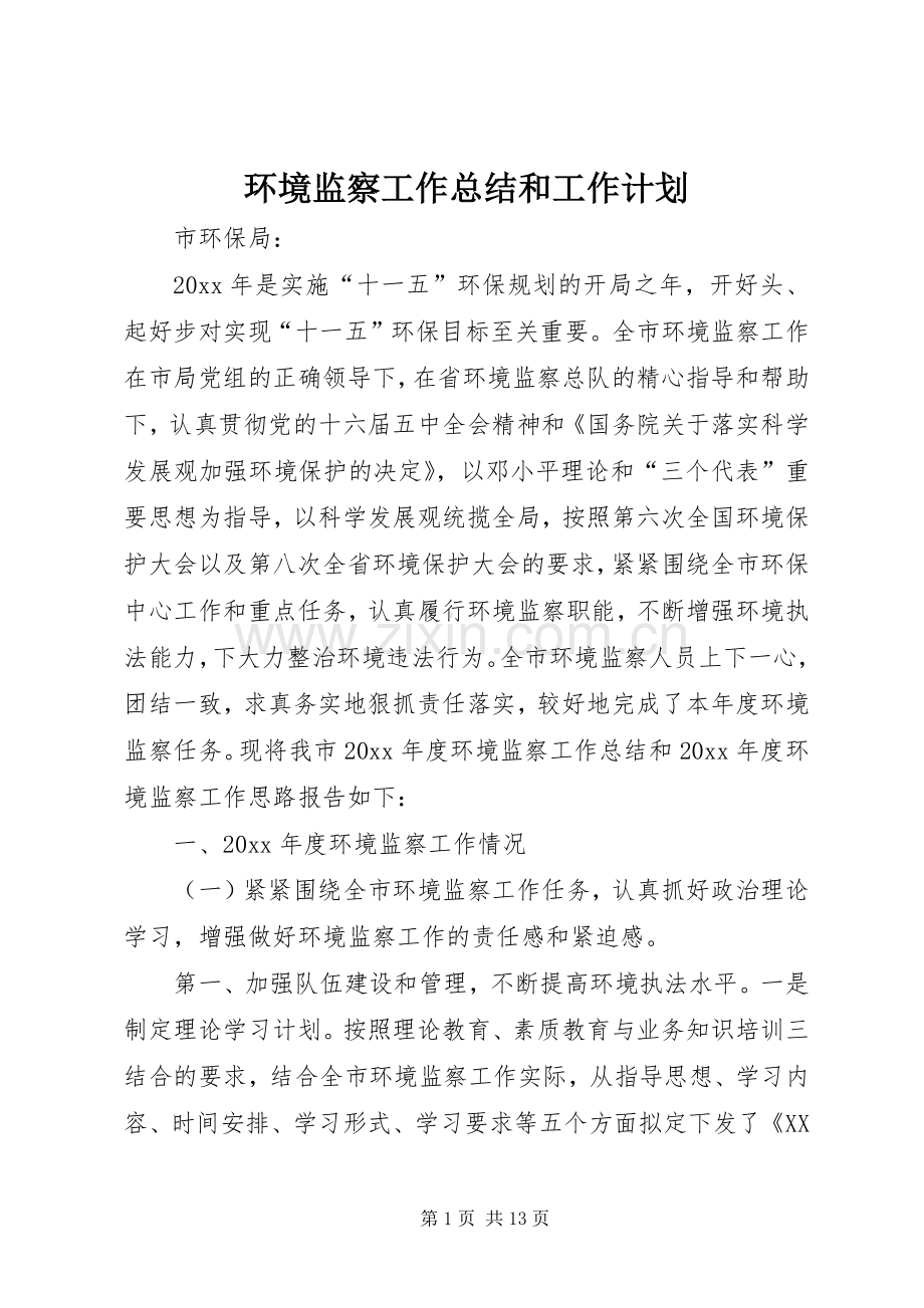 环境监察工作总结和工作计划.docx_第1页