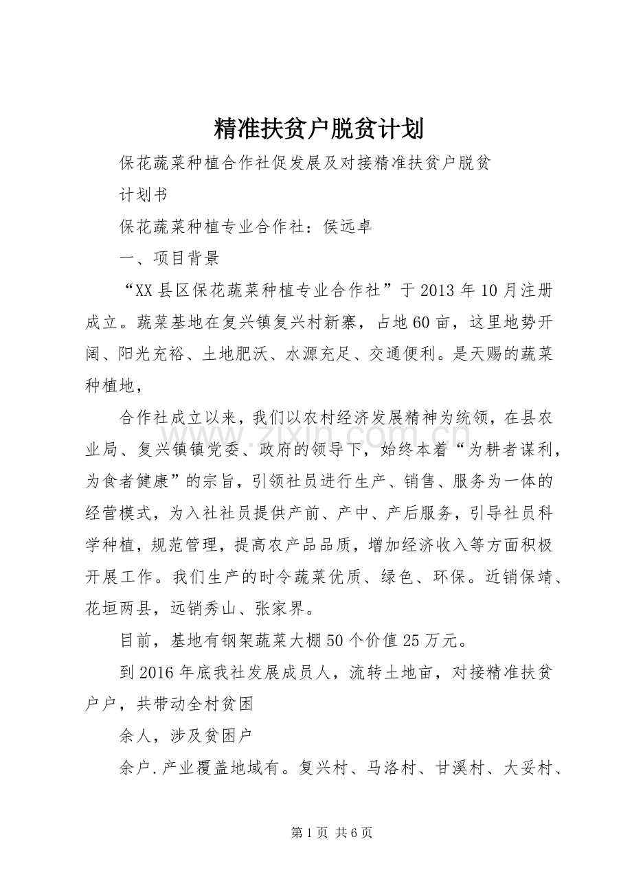 精准扶贫户脱贫计划.docx_第1页
