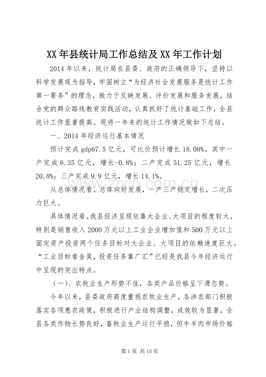 XX年县统计局工作总结及XX年工作计划.docx_第1页