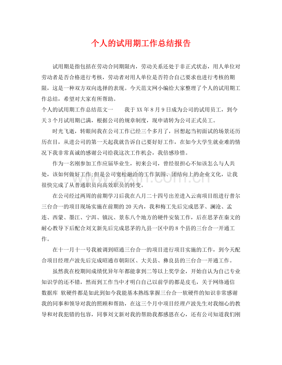 个人的试用期工作总结报告 .docx_第1页