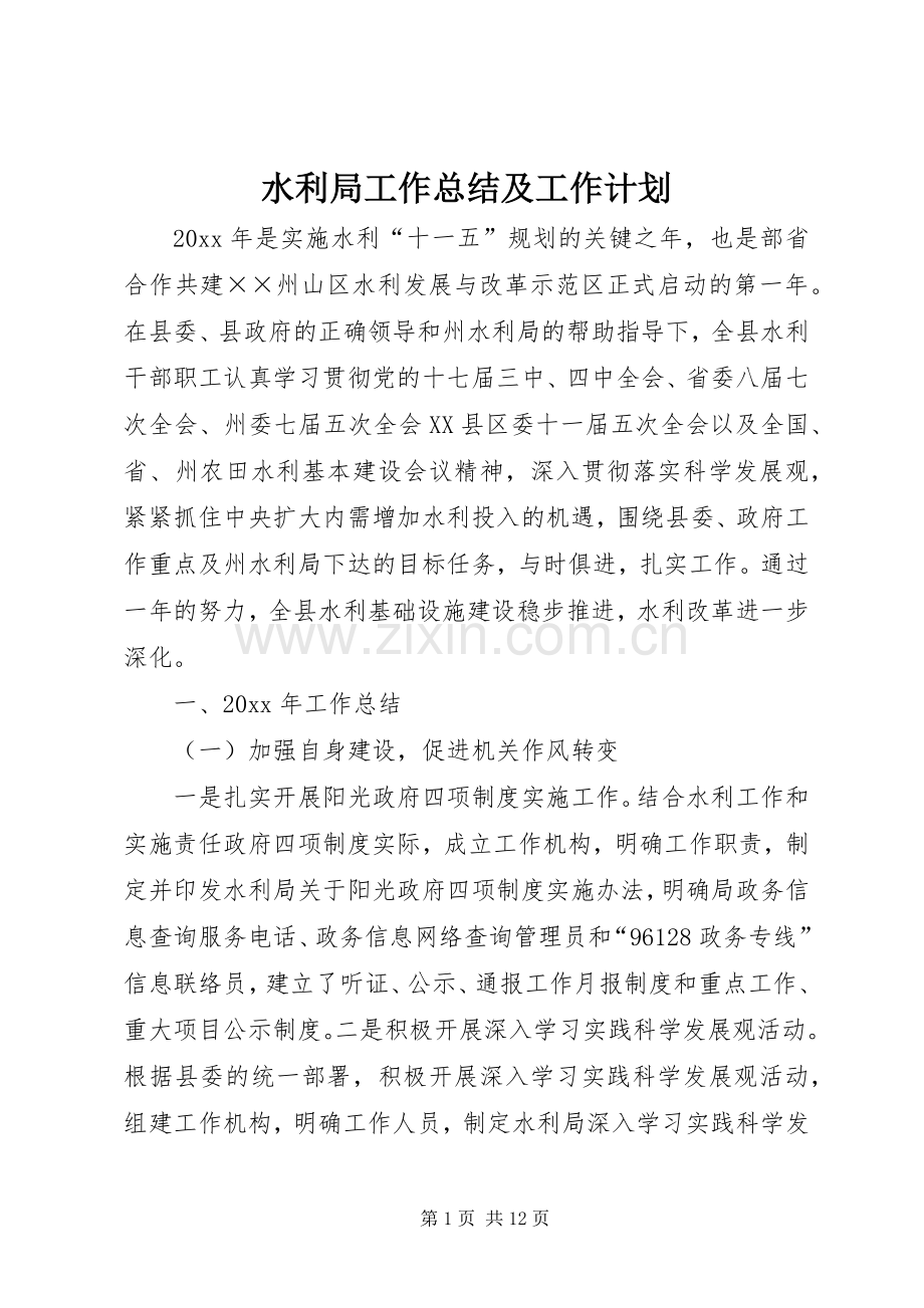 水利局工作总结及工作计划.docx_第1页
