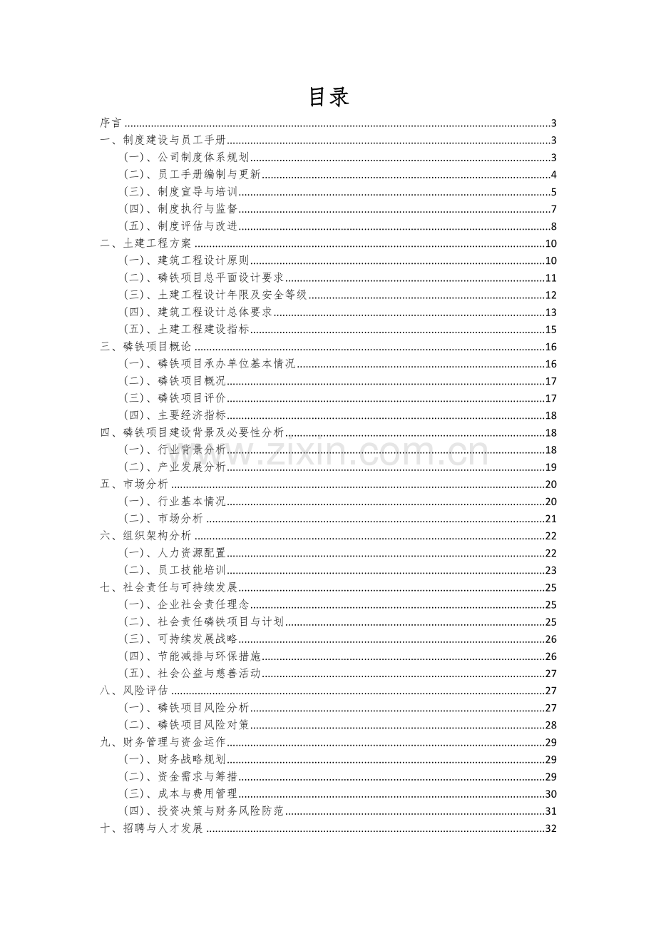 磷铁项目可行性分析报告.docx_第2页