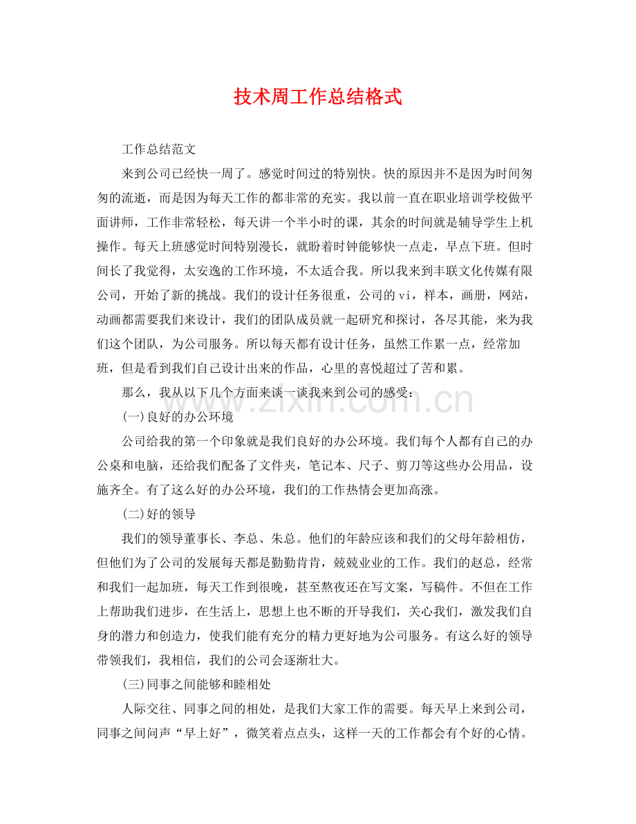 技术周工作总结格式 .docx_第1页