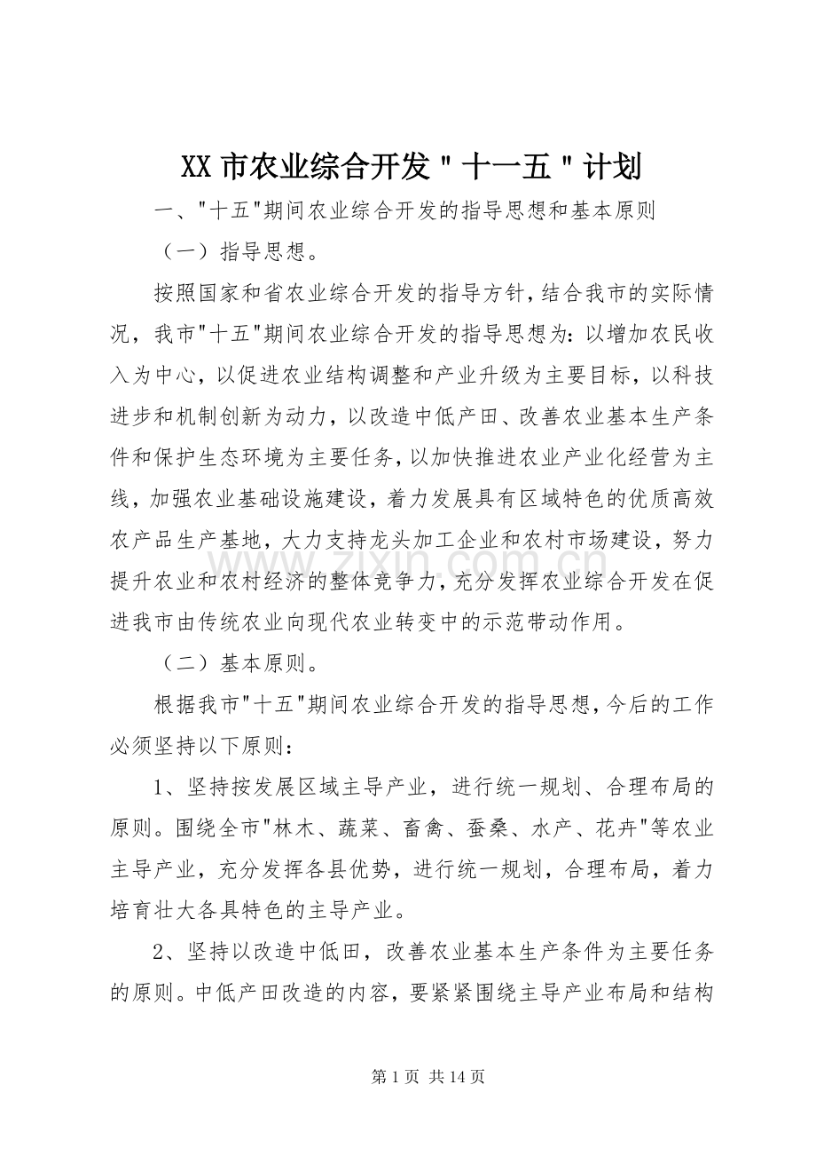 XX市农业综合开发＂十一五＂计划.docx_第1页