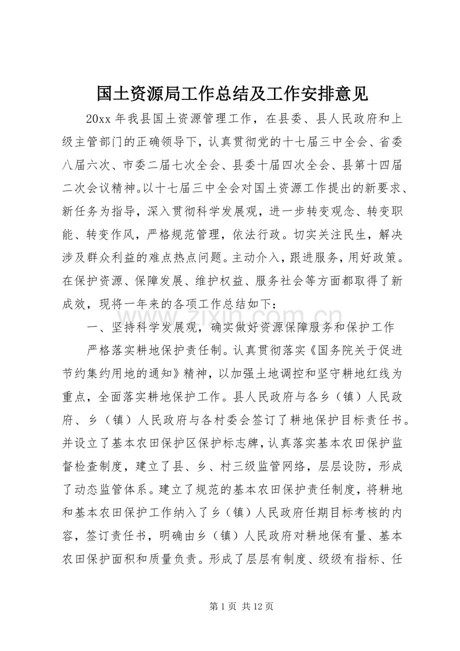 国土资源局工作总结及工作安排意见.docx_第1页