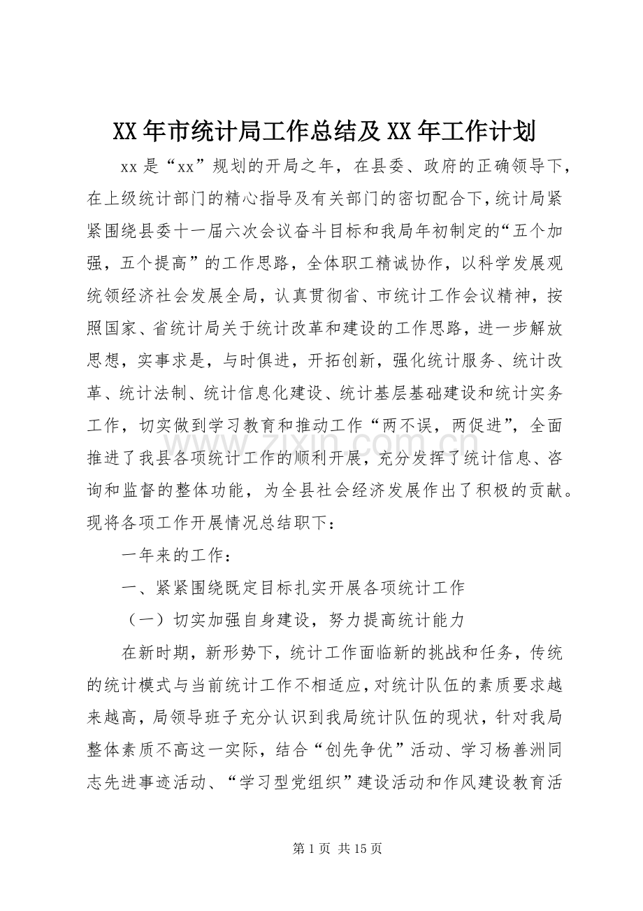 XX年市统计局工作总结及XX年工作计划.docx_第1页
