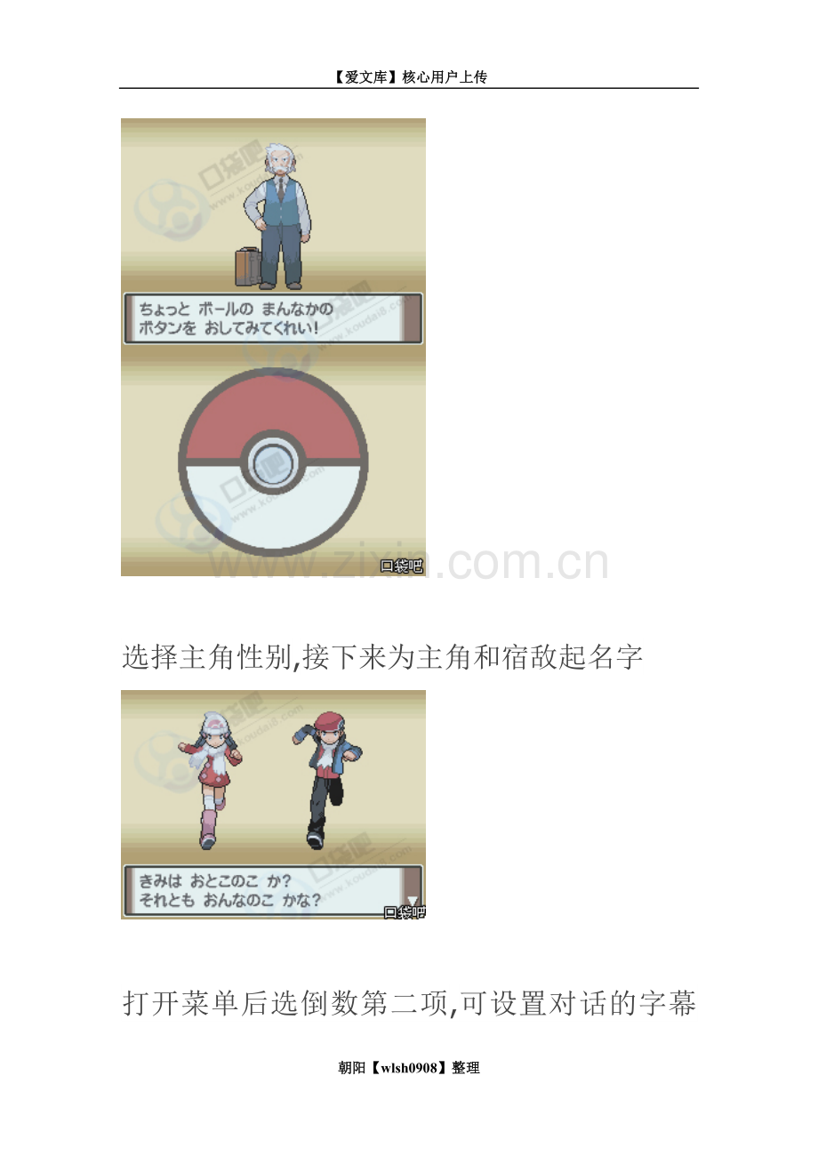 口袋妖怪白金图文攻略.doc_第2页