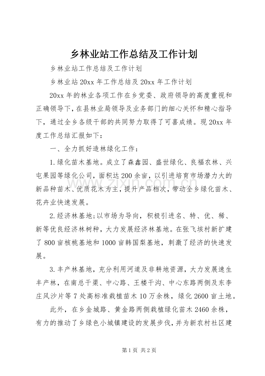 乡林业站工作总结及工作计划.docx_第1页