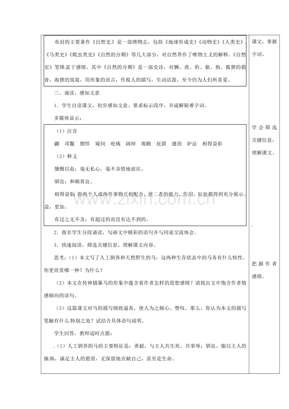 分校七年级语文下册 6.29 马教案 新人教版-新人教版初中七年级下册语文教案.doc_第2页