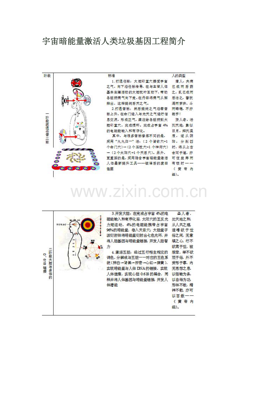 宇宙暗能量激活人类垃圾基因-工程简介.doc_第1页