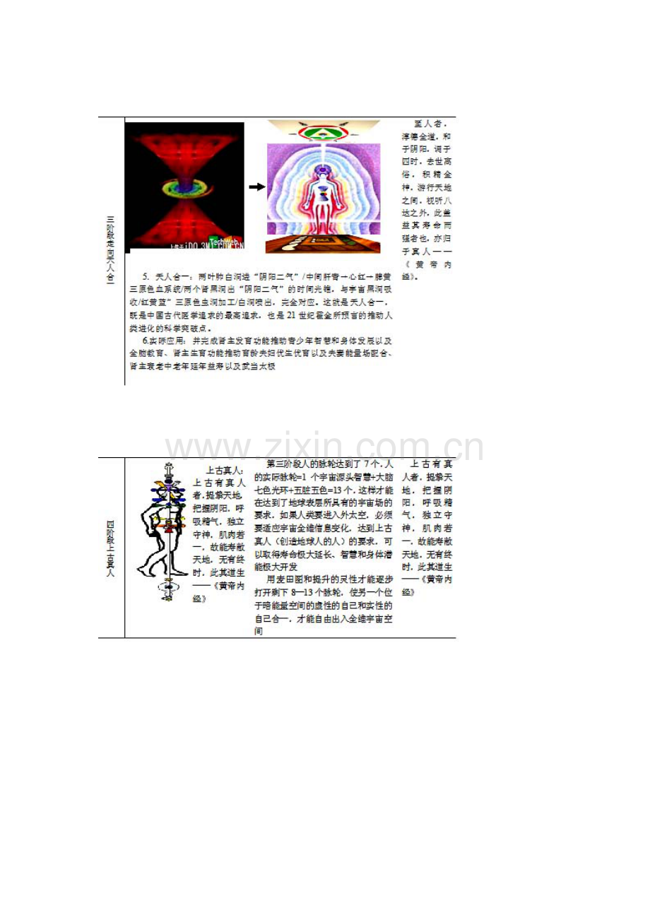 宇宙暗能量激活人类垃圾基因-工程简介.doc_第2页