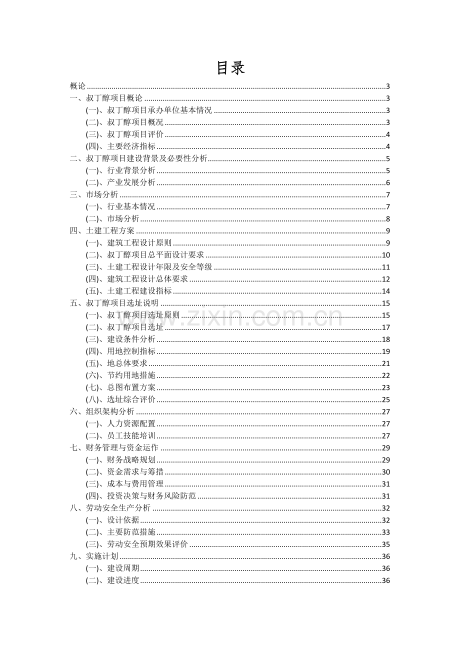 叔丁醇项目深度研究分析报告.docx_第2页
