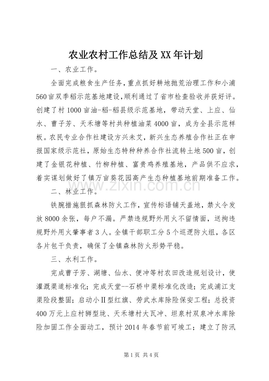 农业农村工作总结及XX年计划.docx_第1页