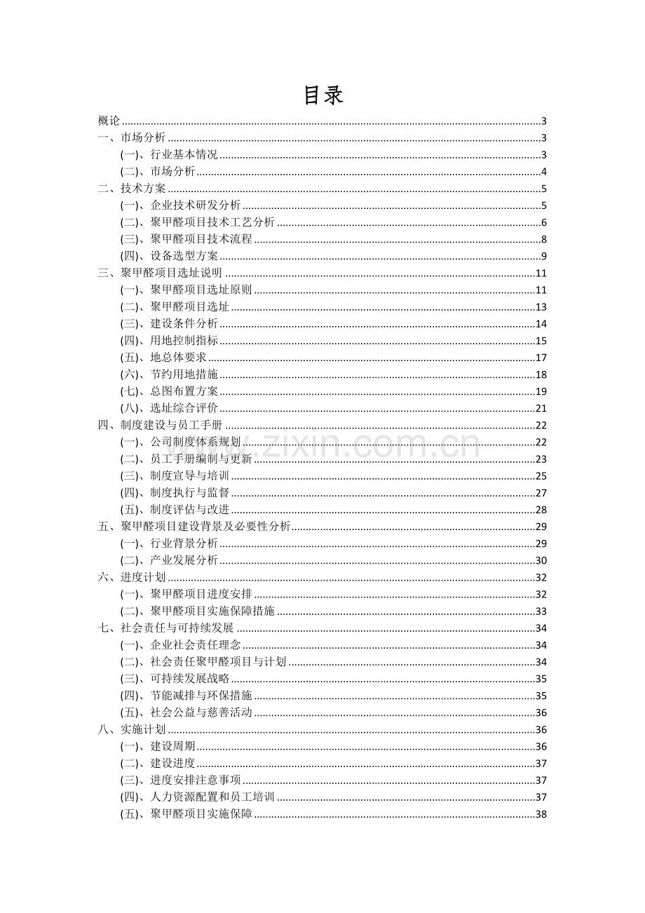 聚甲醛项目投资分析及可行性报告.docx_第2页