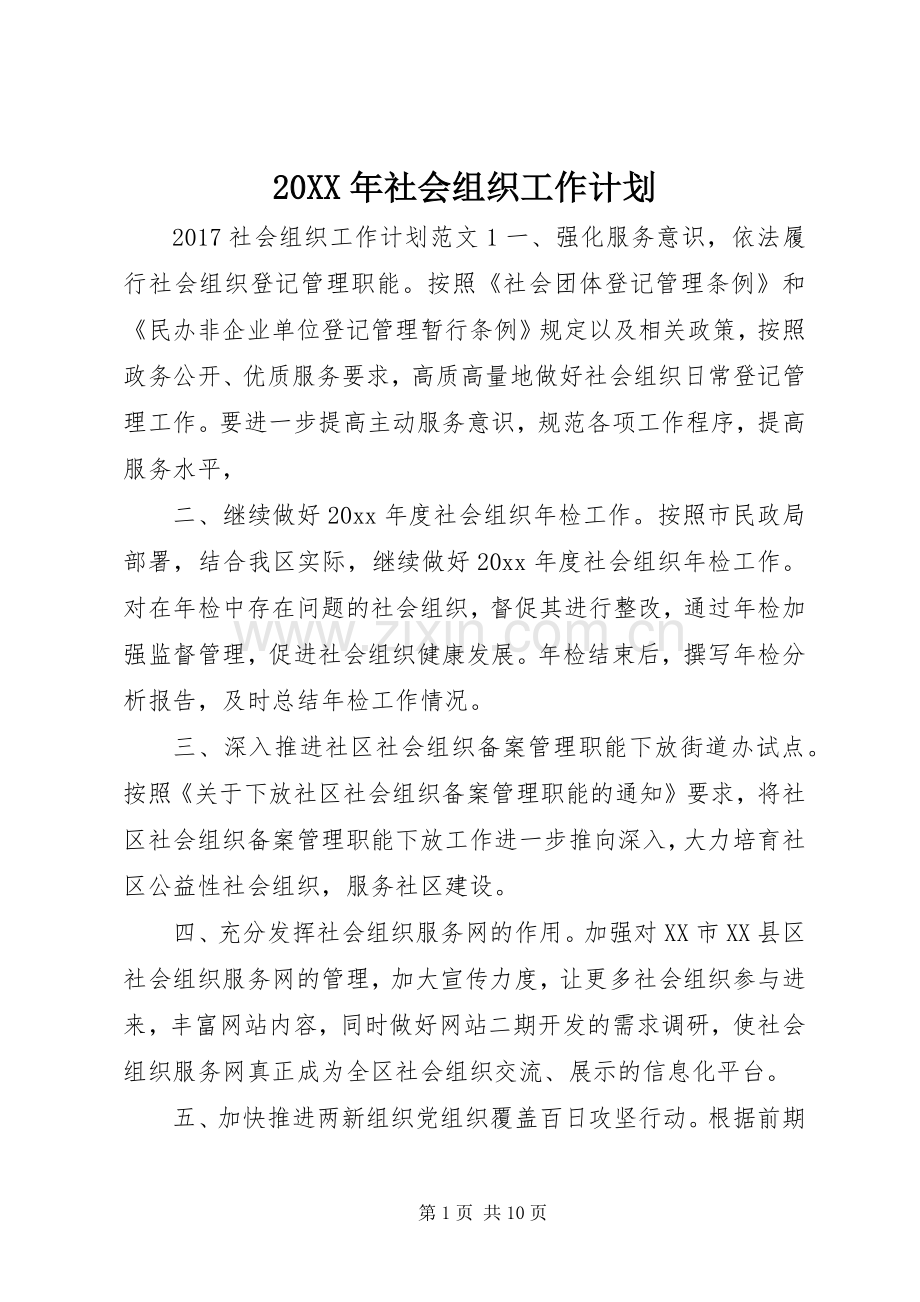 20XX年社会组织工作计划.docx_第1页