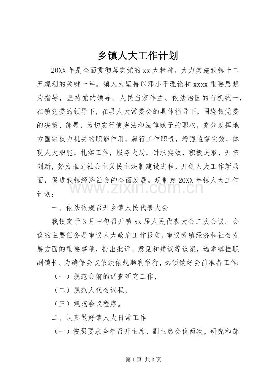 乡镇人大工作计划.docx_第1页