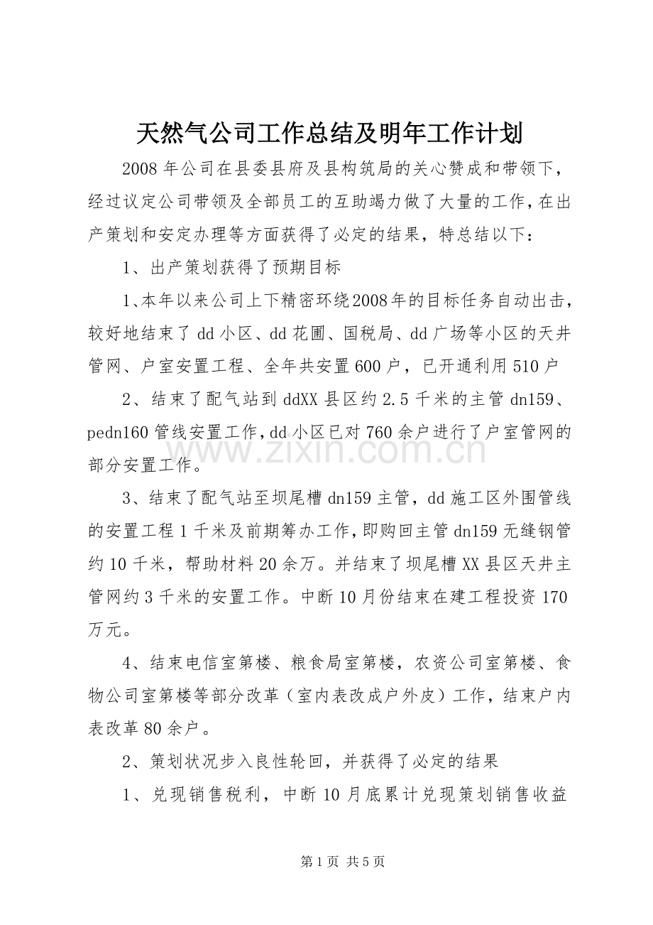 天然气公司工作总结及明年工作计划.docx_第1页