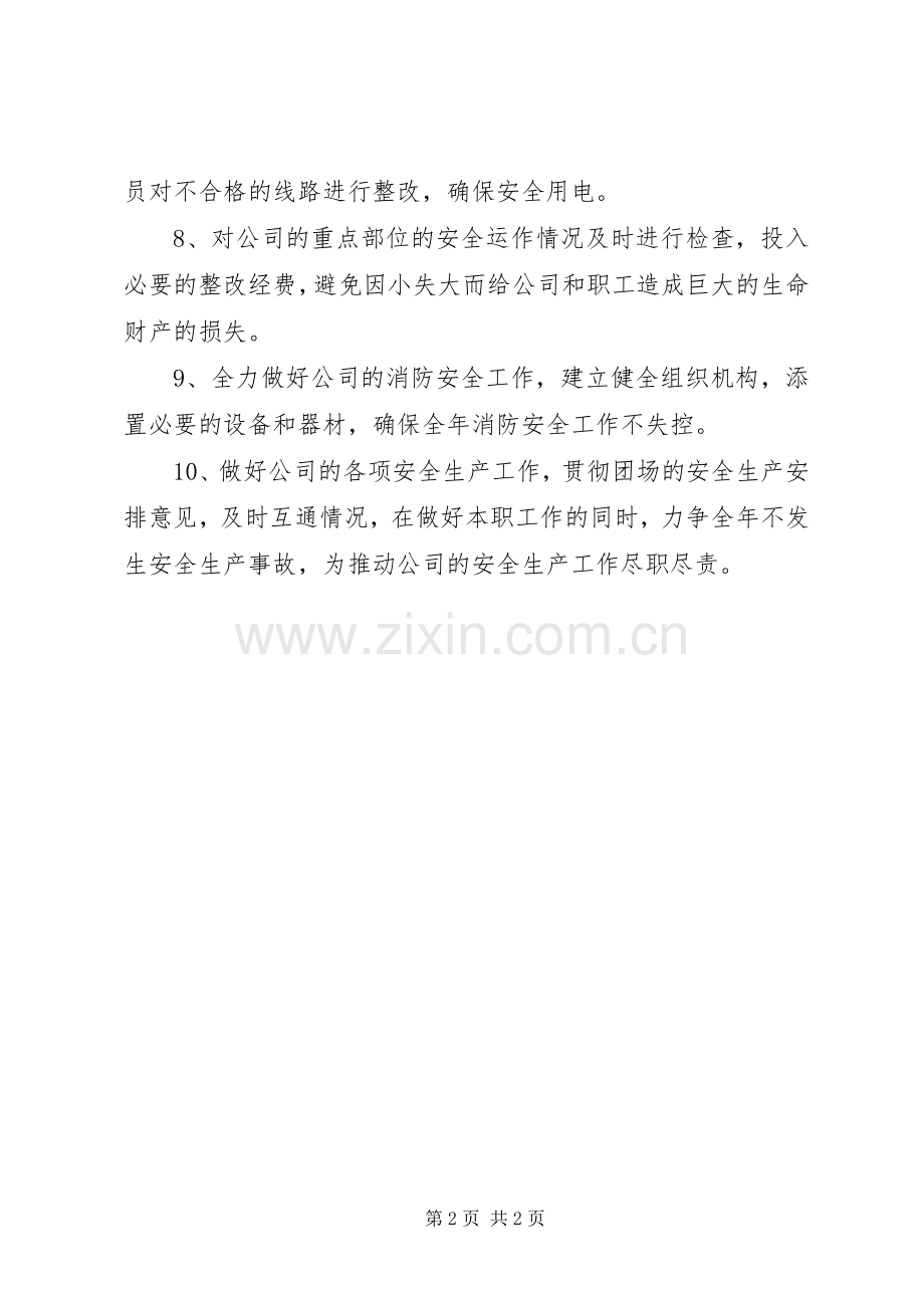20XX年公司安全生产工作计划_1.docx_第2页