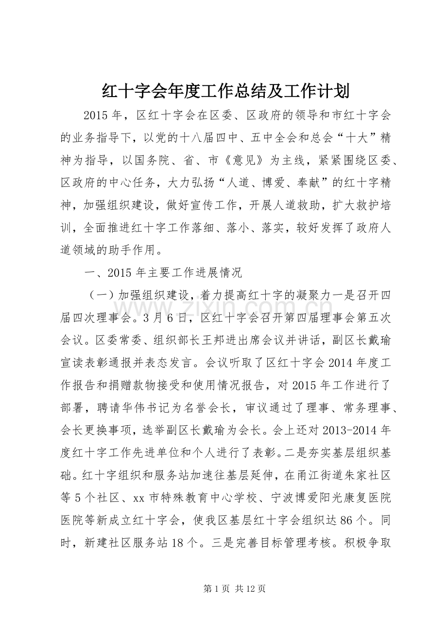 红十字会年度工作总结及工作计划.docx_第1页