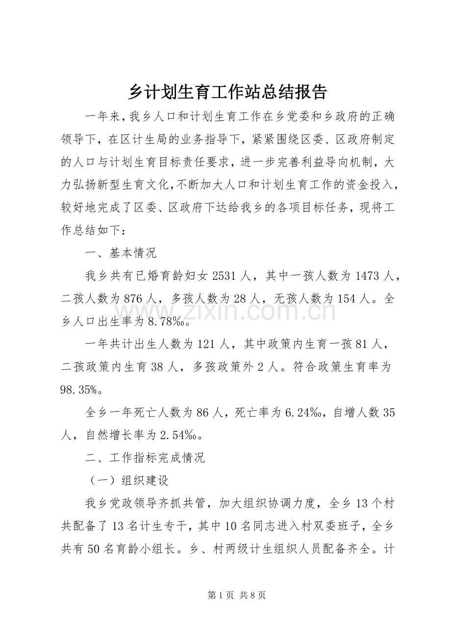 乡计划生育工作站总结报告.docx_第1页