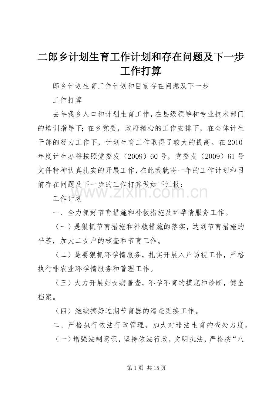 二郎乡计划生育工作计划和存在问题及下一步工作打算.docx_第1页