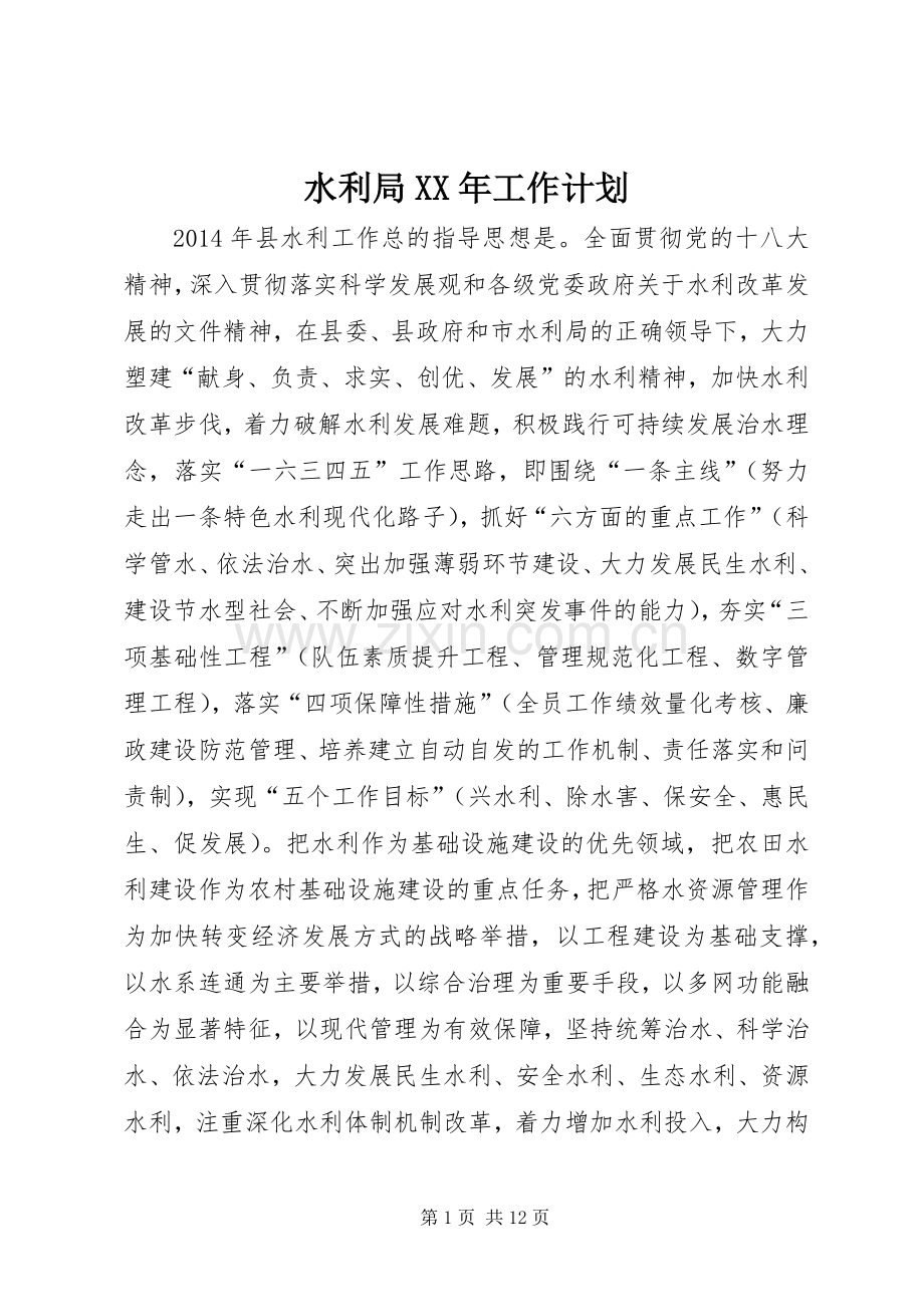 水利局XX年工作计划.docx_第1页