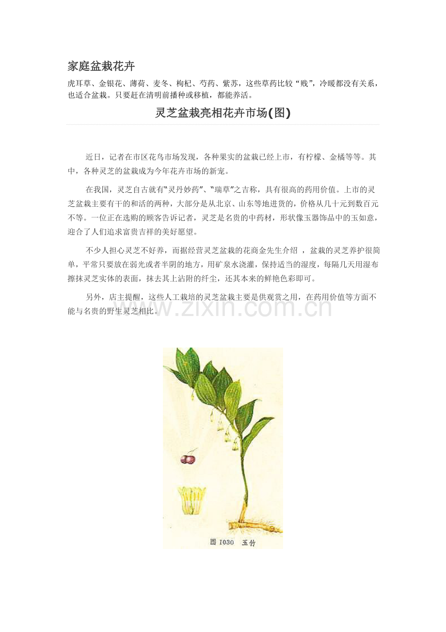 家庭盆栽花卉.doc_第1页