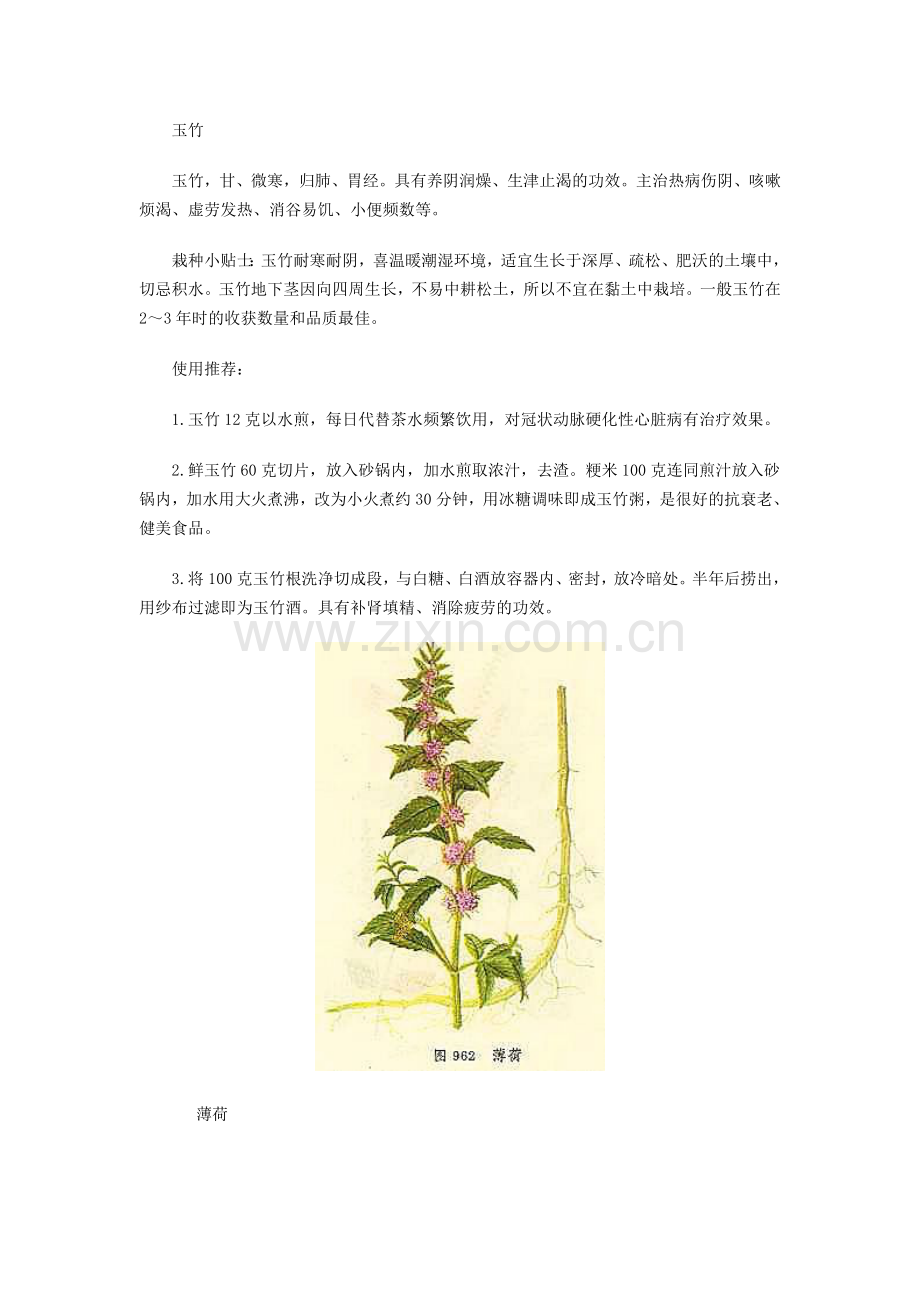 家庭盆栽花卉.doc_第2页