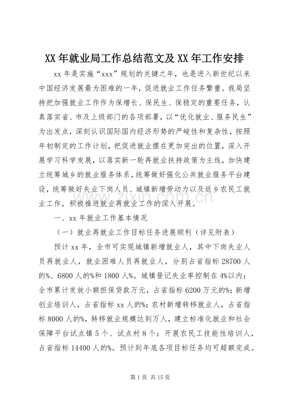 XX年就业局工作总结范文及XX年工作安排.docx_第1页