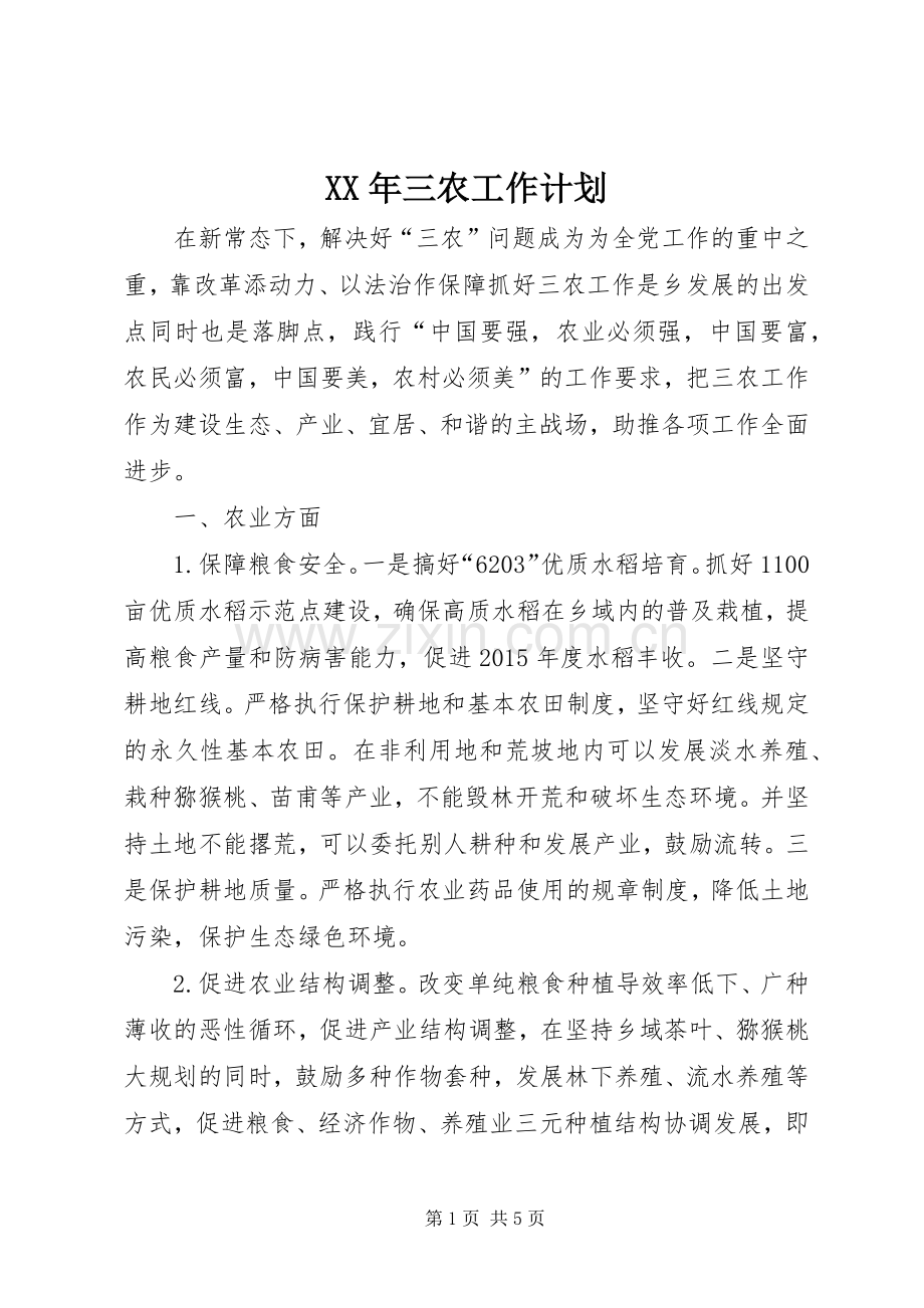 XX年三农工作计划.docx_第1页