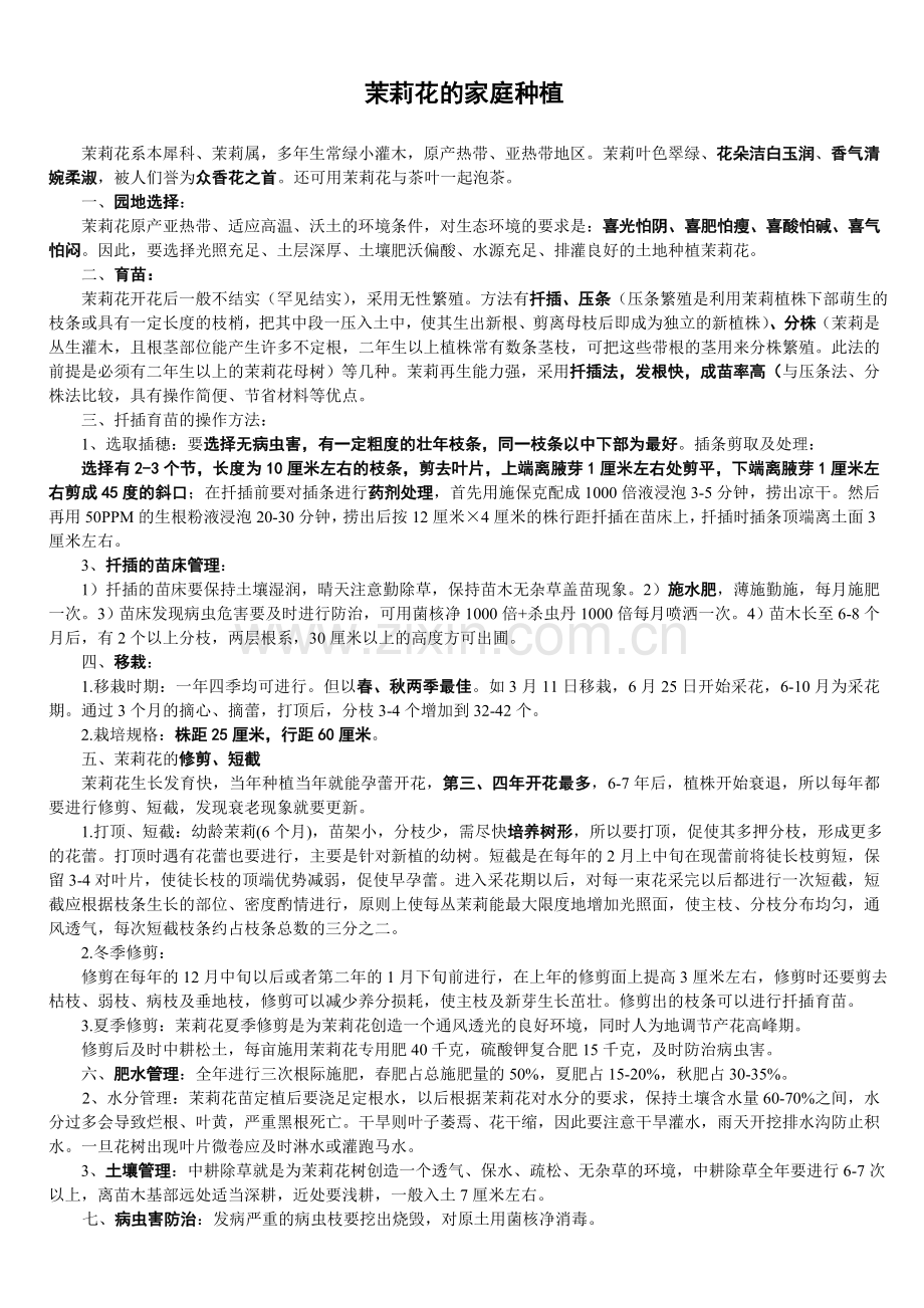 茉莉花的家庭种植.doc_第1页